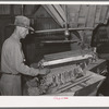 Peanut grader. Peanut-shelling plant. Comanche, Texas