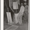 Filling sacks with cotton seed meal. Cotton seed oil mill. McLennan County, Texas