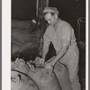 Worker at peanut-shelling plant. Comanche, Texas