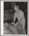 Worker at peanut-shelling plant. Comanche, Texas