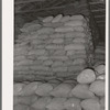 Feed made from peanut shells and blackstrap molasses in storage at peanut-shelling plant. Comanche, Texas