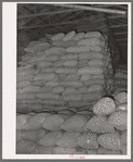 Feed made from peanut shells and blackstrap molasses in storage at peanut-shelling plant. Comanche, Texas