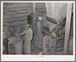 Filling bags with feed made from peanut shells and blackstrap molasses. Peanut-shelling plant. Comanche, Texas