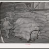 Loading truck with peanut shell feed. Peanut-shelling plant. Comanche, Texas