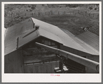 Pipe which conveys peanut shells into mixing room. Peanut-shelling plant. Comanche, Texas. The peanut shells are gound up and then mixed with blackstrap molasses and are used as livestock feed