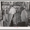 Sacking graded peanuts. Peanut-shelling plant. Comanche, Texas