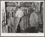 Sacking graded peanuts. Peanut-shelling plant. Comanche, Texas