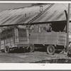 Unloading corn stover to be ground into livestock feed. Feed mill, Taylor, Texas