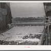 Linters, that cotton which clings to the seed, is removed and then formed into bats. Linters is of particular value in chemical industries because of its cellulose content. Cotton seed oil mill, McLennan County, Texas