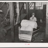 Workmen pushing hand truck of linters in cotton seed oil mill. McLennan County, Texas. See caption number 34751