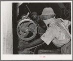 Negro working on machine in cotton seed oil mill. McLennan County, Texas