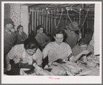 Sewing up dressed turkeys. Cooperative poultry house, Brownwood, Texas