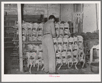 Piling picked turkeys on racks. Cooperative poultry house, Brownwood, Texas