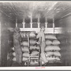 Loading carload of peanuts at peanut-shelling plant. Comanche, Texas
