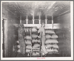 Loading carload of peanuts at peanut-shelling plant. Comanche, Texas