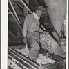 Negro workman packing down cotton linters in truck at cotton seed oil mill. McLennan County, Texas