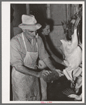 Preparing turkeys at cold storage plant. Brownwood, Texas