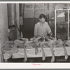Inspecting picked turkeys at cooperative poultry house. Brownwood, Texas