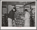 Selecting turkeys at cold storage plant. Brownwood, Texas