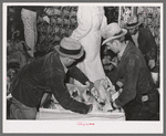 Packing picked turkeys in boxes at cold storage plant. Brownwood, Texas