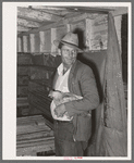 Man with chicken at cooperative poultry house. Brownwood, Texas