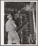 Removing cotton cake from hydraulic presses after oil has been removed. Cotton seed oil mill. McLennan County, Texas