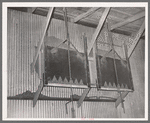 Type of drop gate for loading of cotton seed hulls onto trucks. Cotton seed oil mill. McLennan County, Texas