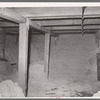 Cotton seed in storage. Cotton seed oil mill. McLennan County, Texas
