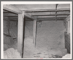 Cotton seed in storage. Cotton seed oil mill. McLennan County, Texas