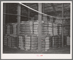 Baled cotton at cotton seed oil plant. McLennan County, Texas