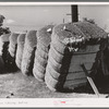 Bales of cotton in gin yard. West, Texas