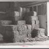 Peanut hay in feed store. Brownwood Texas