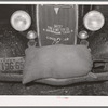 Sack of feed on bumper of automobile. Brownwood, Texas