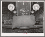 Sack of feed on bumper of automobile. Brownwood, Texas