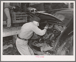 Farmer unloading turkeys from luggage compartment of his car at cooperative poultry house. Brownwood, Texas