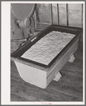 Dough rising at bakery. San Angelo, Texas