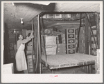 Lifting boxes of supplies by means of elevator. Wholesale grocery, San Angelo, Texas