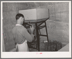 Packing pinto beans. Wholesale grocery, San Angelo, Texas