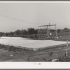 Frame gardens are used by commercial truck farmers in Tom Green County. San Angelo, Texas