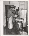 Straining the milk at large dairy in Tom Green County, Texas