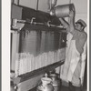 Cooling milk at large dairy. Tom Green County, Texas