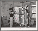 Crimping an innerspring mattress so the tufts will be more easily put in. Mattress factory. San Angelo, Texas