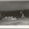 Son of Pomp Hall chopping wood in the early dawn. Creek County, Oklahoma. See general caption number 23