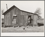 Wife of Pomp Hall, Negro tenant farmer, sweeping off the kitchen steps. Creek County, Oklahoma. See general caption number 23