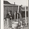 Sons of Pomp Hall, Negro tenant farmer, drawing water and mixing bran mash to feed the hogs. Creek County, Oklahoma. See general caption number 23