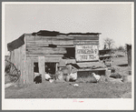 Chicken house of Pomp Hall, Negro tenant farmer. Creek County, Oklahoma. See general caption number 23