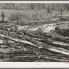 Intersection of muddy roads. McIntosh County, Oklahoma