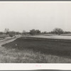 Farm land, McIntosh County, Oklahoma. Notice how the soil has washed. This county is one of the worst eroded in the state