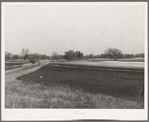 Farm land, McIntosh County, Oklahoma. Notice how the soil has washed. This county is one of the worst eroded in the state