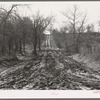 Muddy road, McIntosh County, Oklahoma